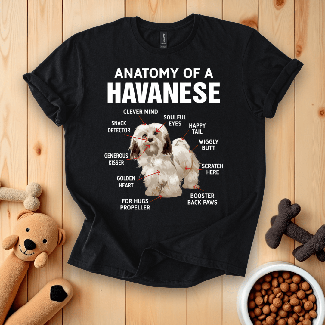 Black / S Anatomy Of A Havanese T-Shirt