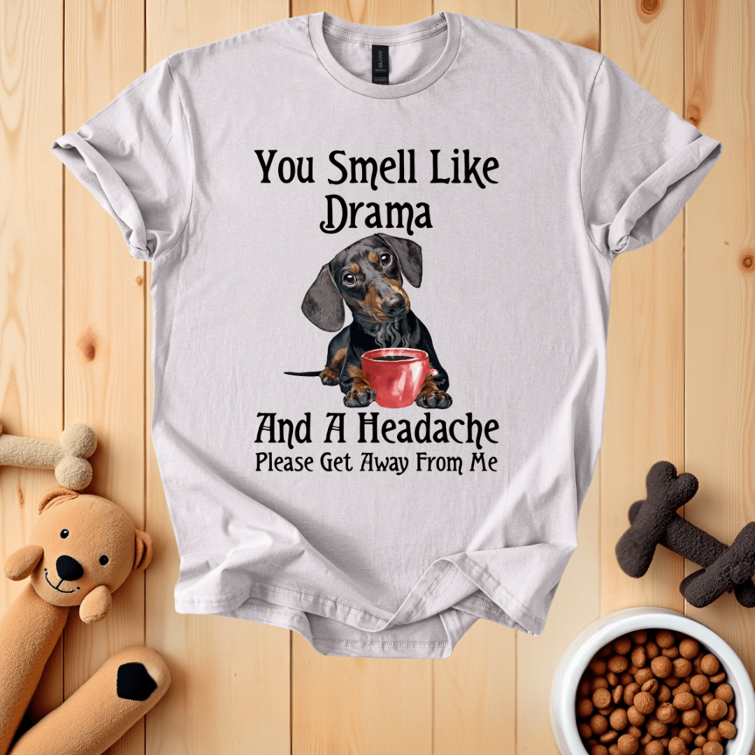 Ice Grey / S You Smell Like Drama T-Shirt