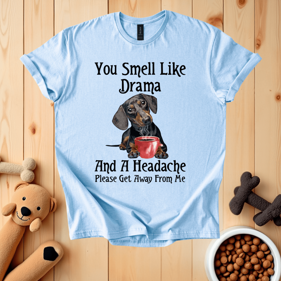 Light Blue / S You Smell Like Drama T-Shirt
